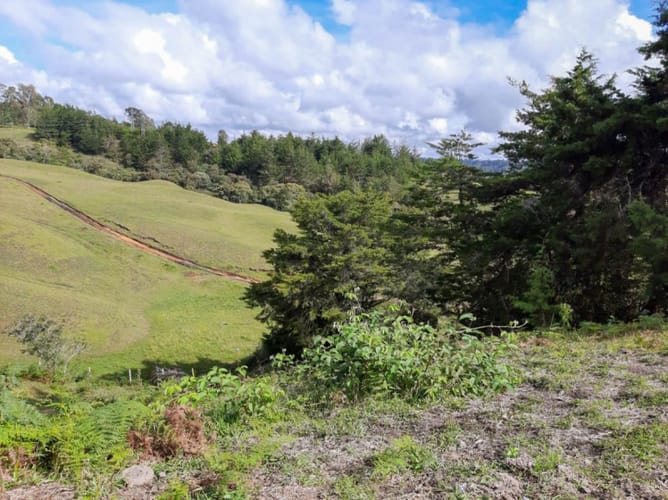 Lote en venta en El Porvenir, Rionegro, 84500 m² · foto 12 de 12