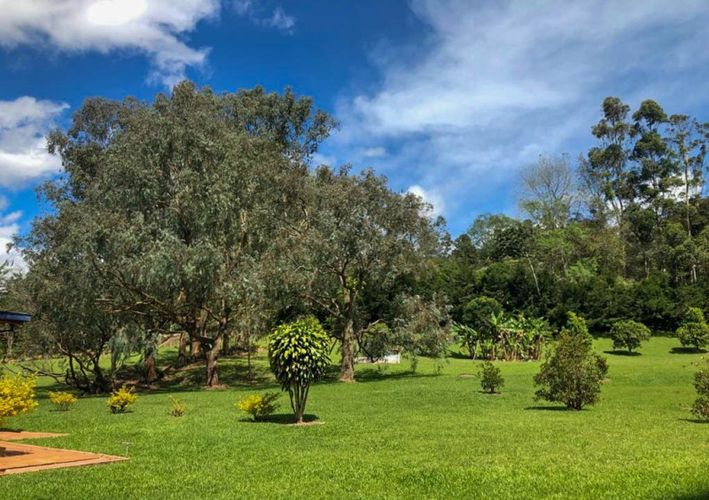 Finca en venta en Pantanillo, El Retiro, 450 m² · foto 7 de 15