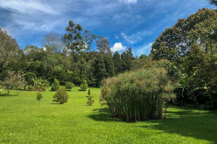 Finca en venta en Pantanillo, El Retiro, 450 m² · foto 10 de 15