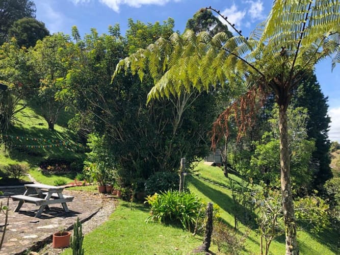 Finca en venta en Guarne, 454 m² · foto 15 de 21