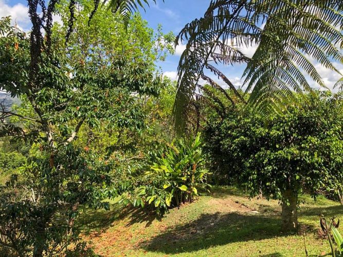 Finca en venta en Guarne, 454 m² · foto 16 de 21