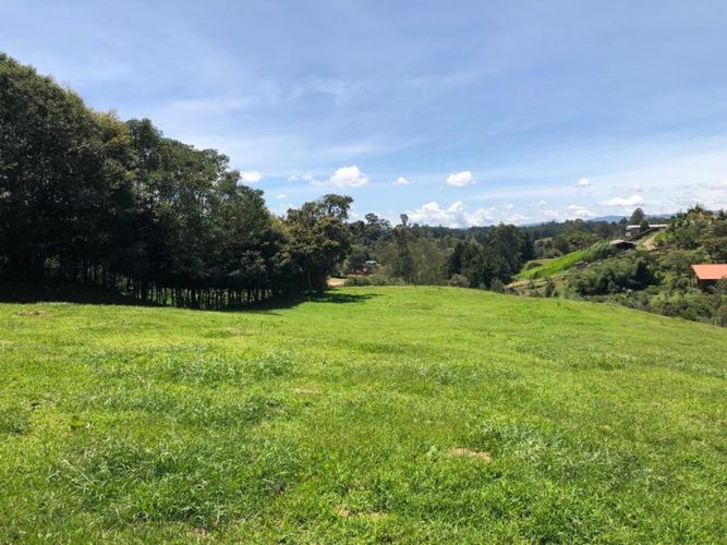 Lote en venta en Centro, Rionegro · foto 3 de 6