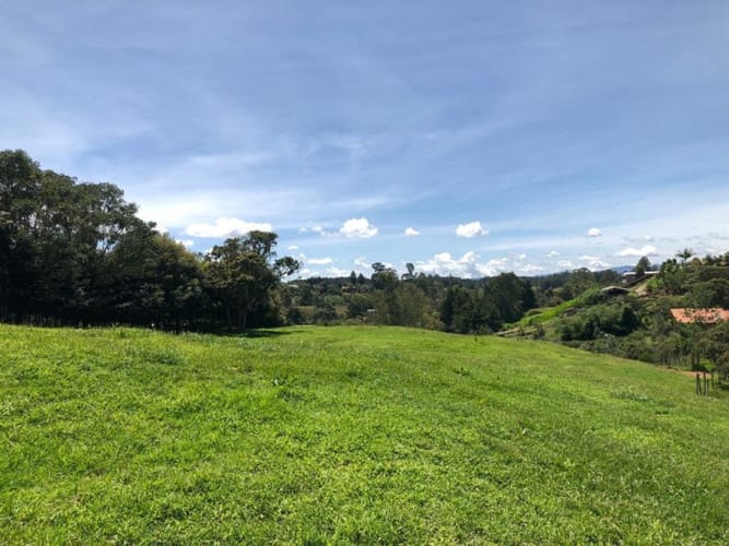 Lote en venta en Centro, Rionegro · foto 4 de 6