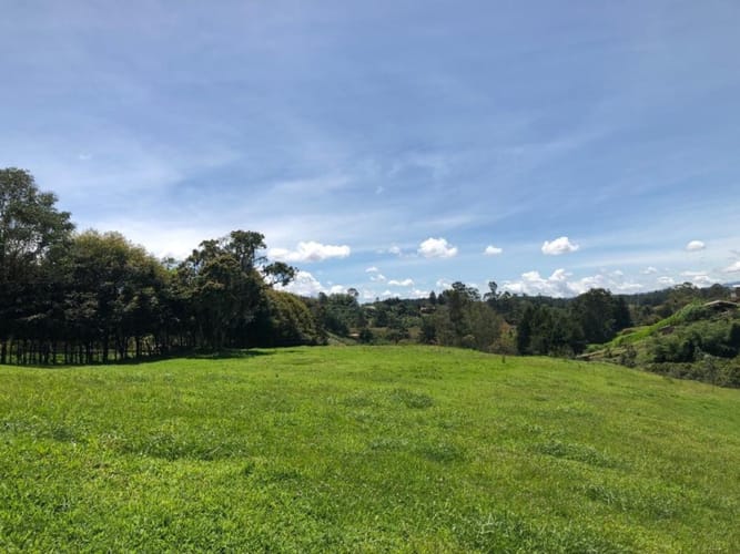 Lote en venta en Centro, Rionegro · foto 5 de 6