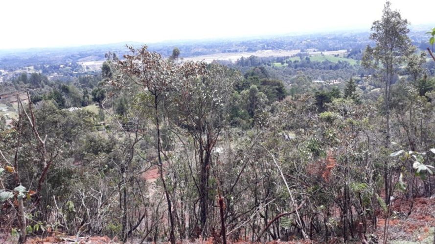 Lote en venta en El Porvenir, Rionegro · foto 3 de 17