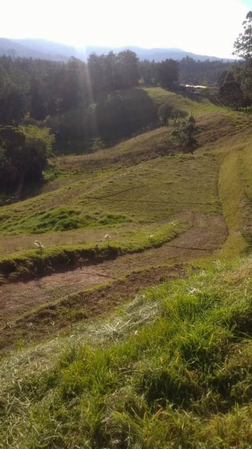 Lote en venta en Pantanillo, El Retiro · foto 2 de 8