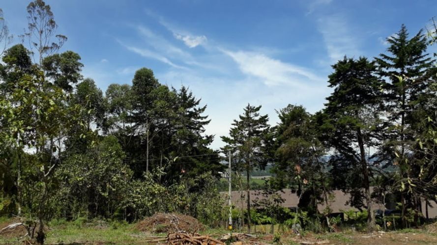 Lote en venta en El Porvenir, Rionegro · foto 7 de 17
