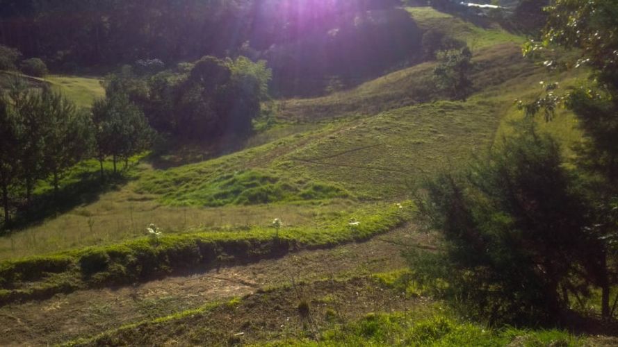 Lote en venta en Pantanillo, El Retiro · foto 3 de 8