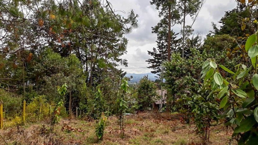 Lote en venta en El Porvenir, Rionegro · foto 12 de 17