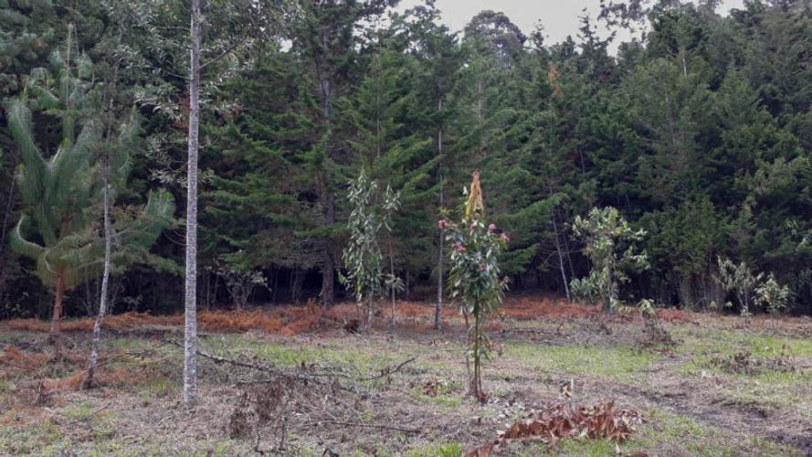 Lote en venta en El Porvenir, Rionegro · foto 13 de 17