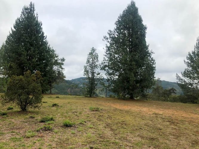 Lote en venta en Pantanillo, El Retiro · foto 3 de 5