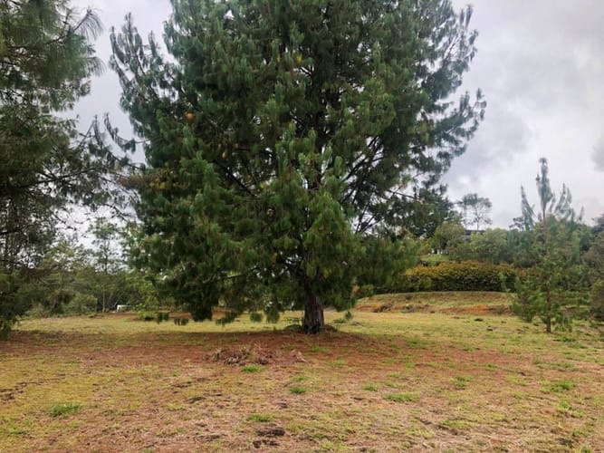Lote en venta en Pantanillo, El Retiro · foto 4 de 5