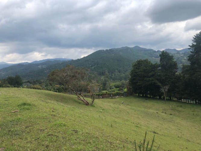 Lote en venta en Llano Grande, Rionegro · foto 5 de 9