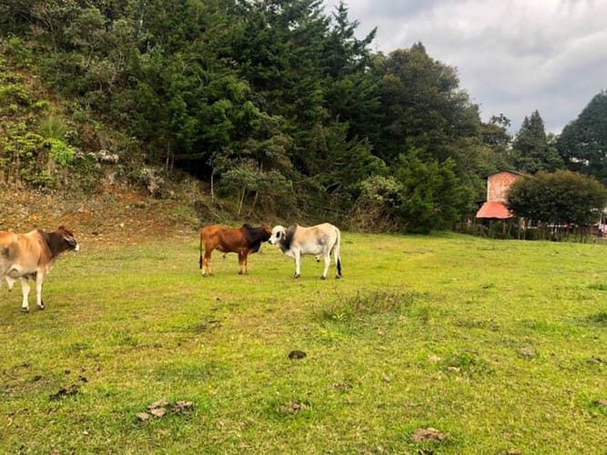 Lote en venta en Llano Grande, Rionegro · foto 6 de 9