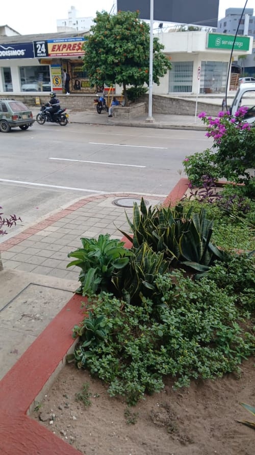 Local en arriendo en El Porvenir, Barranquilla, 55 m² · foto 2 de 8