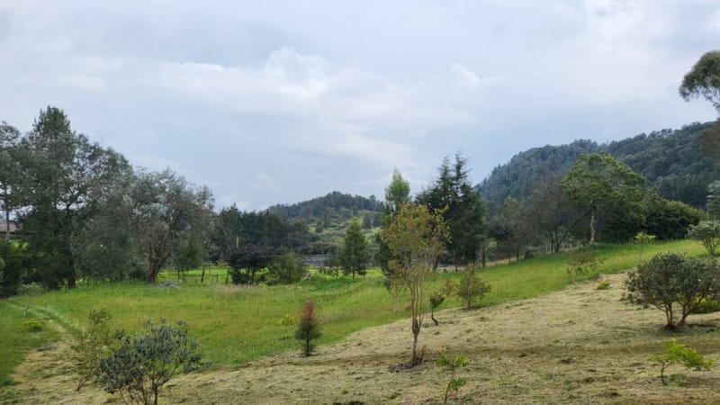 Lote en venta en Vía Las Palmas, Envigado, 5108 m² · foto 3 de 12
