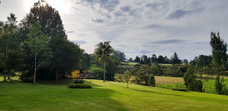 Lote en venta en Centro, Rionegro · foto 2 de 16