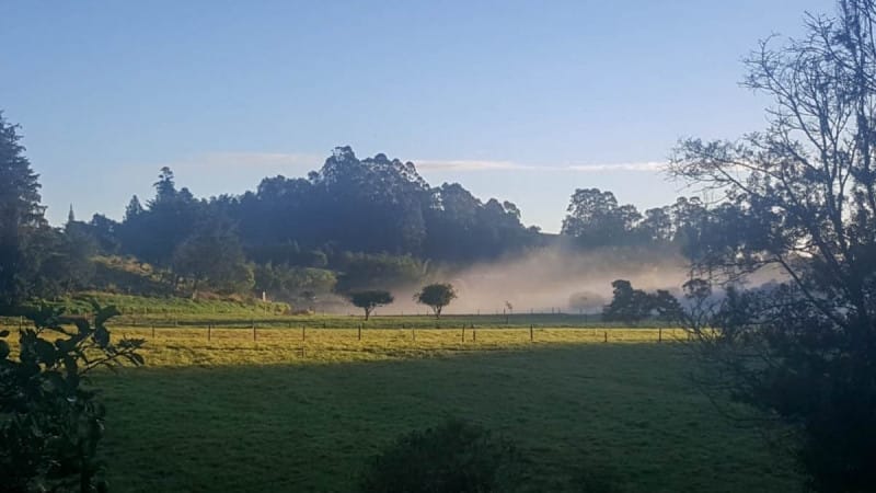 Lote en venta en Centro, Rionegro · foto 3 de 16