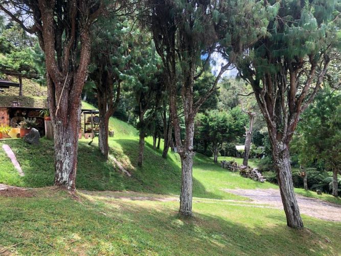 Finca en venta en Vía Las Palmas, Envigado, 280 m² · foto 8 de 14