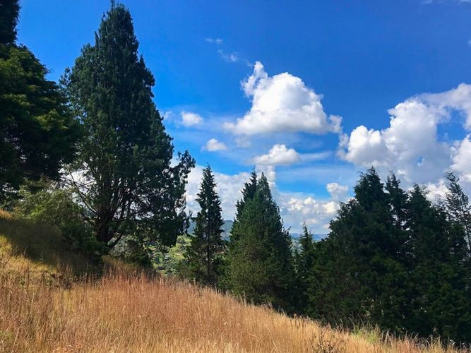 Finca en venta en Guarne, 249 m² · foto 2 de 16