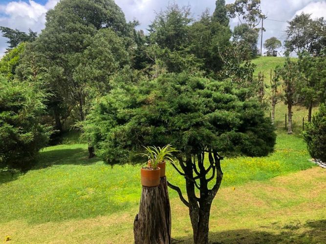 Finca en venta en Vía Las Palmas, Envigado, 280 m² · foto 10 de 14