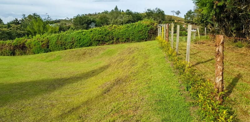 Lote en venta en Centro, Rionegro · foto 8 de 16