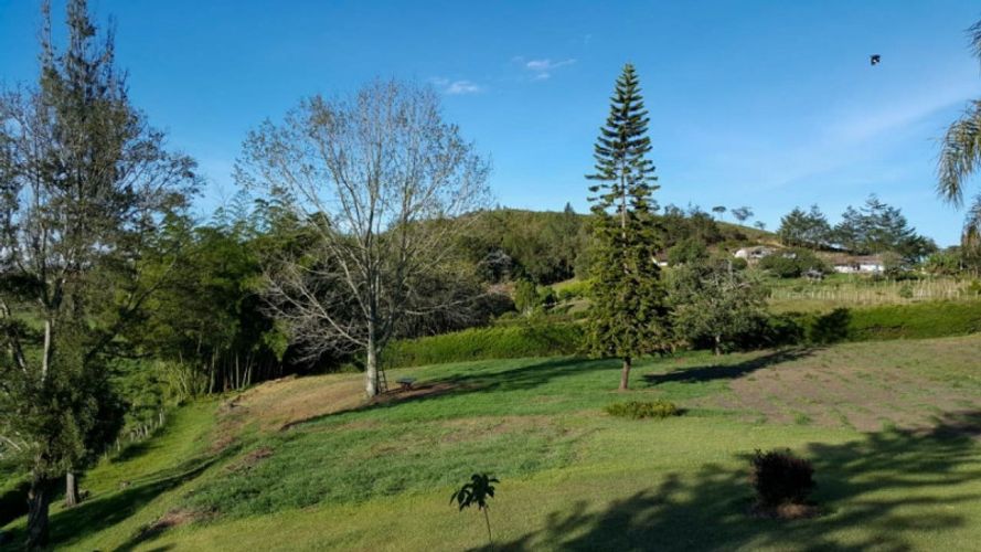 Lote en venta en Centro, Rionegro · foto 9 de 16