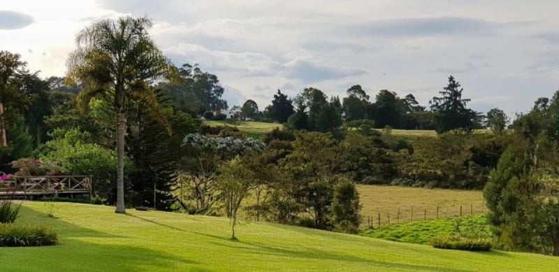 Lote en venta en Centro, Rionegro · foto 11 de 16