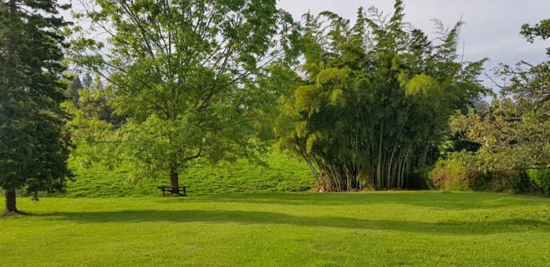 Lote en venta en Centro, Rionegro · foto 12 de 16