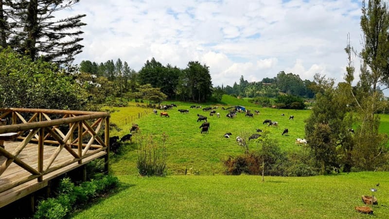 Lote en venta en Centro, Rionegro · foto 14 de 16