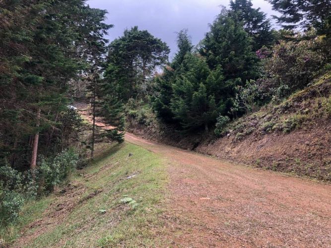 Lote en venta en Pantanillo, El Retiro · foto 4 de 10