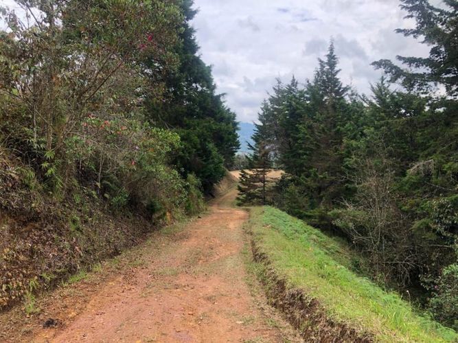 Lote en venta en Pantanillo, El Retiro · foto 10 de 10