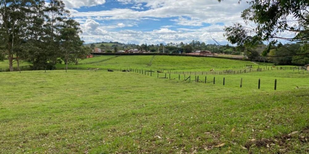 Lote en venta en Pontezuela, Rionegro, 20000 m² · foto 5 de 13