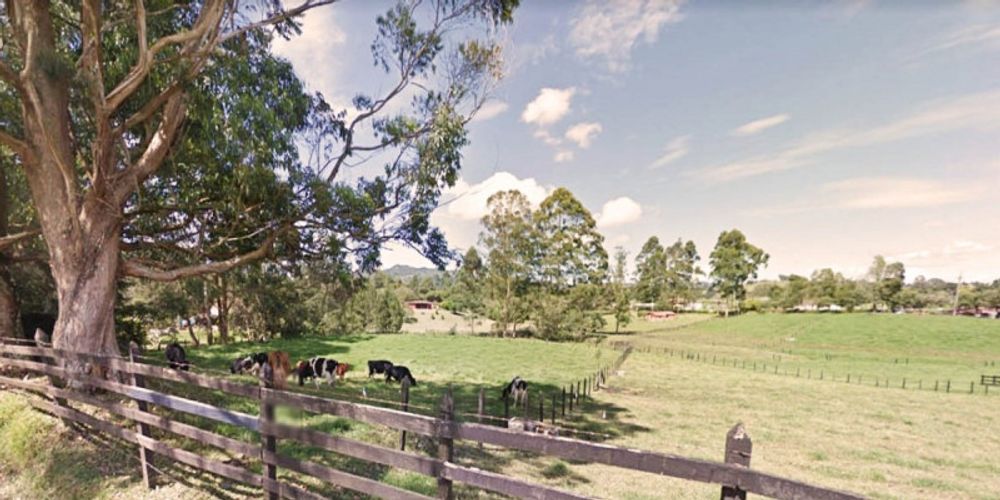 Lote en venta en Pontezuela, Rionegro, 20000 m² · foto 6 de 13