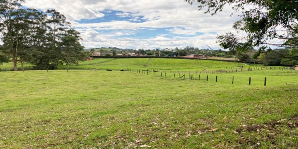 Lote en venta en Pontezuela, Rionegro, 20000 m² · foto 8 de 13