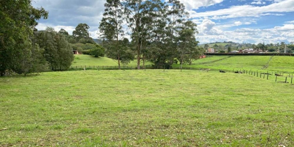 Lote en venta en Pontezuela, Rionegro, 20000 m² · foto 10 de 13