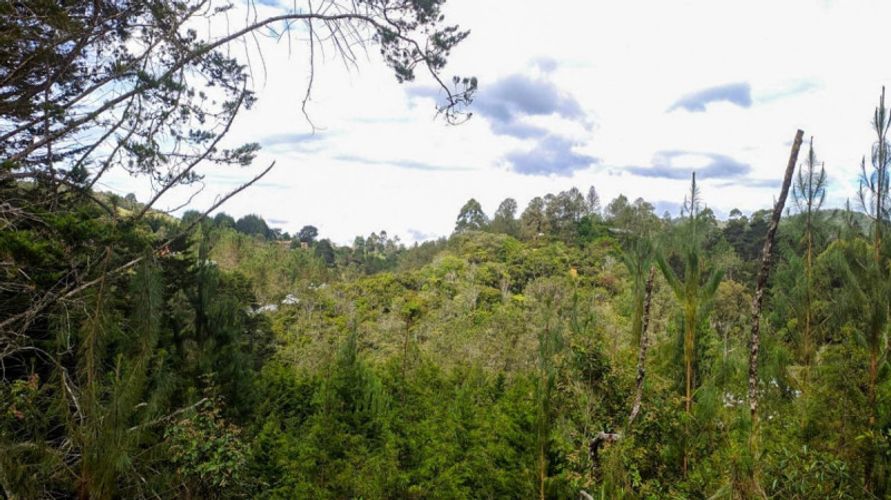 Lote en venta en Pontezuela, Rionegro · foto 2 de 11