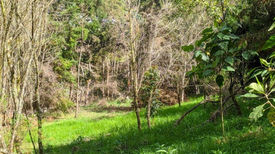 Lote en venta en Pontezuela, Rionegro · foto 3 de 11