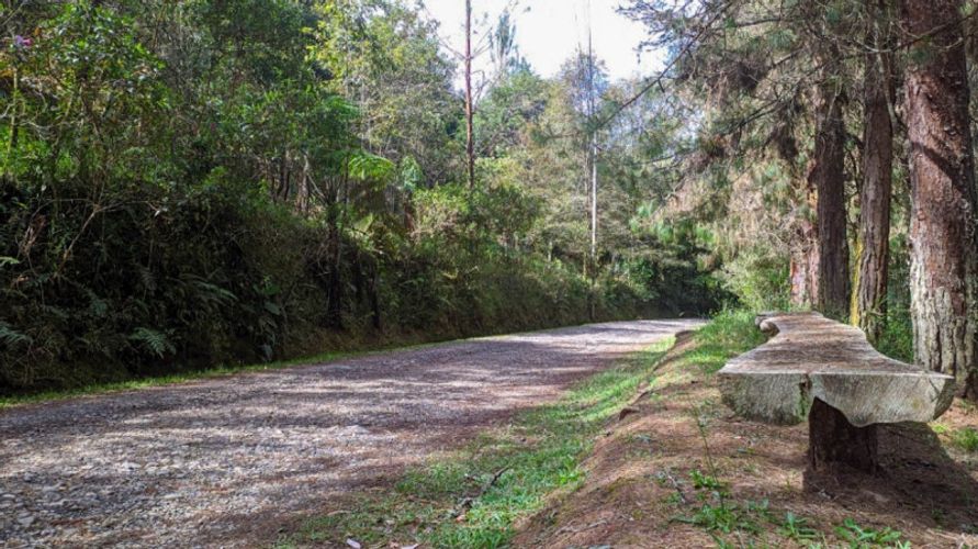 Lote en venta en Pontezuela, Rionegro · foto 4 de 11