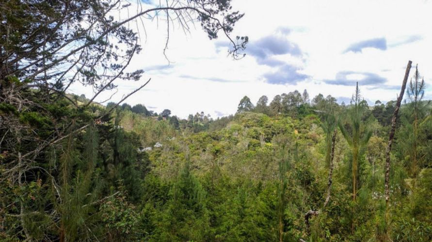 Lote en venta en Pontezuela, Rionegro · foto 5 de 11