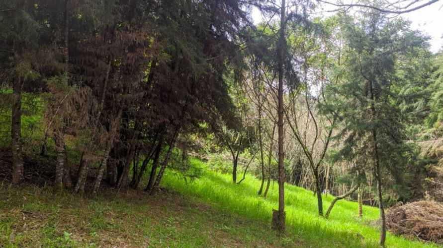 Lote en venta en Pontezuela, Rionegro · foto 6 de 11