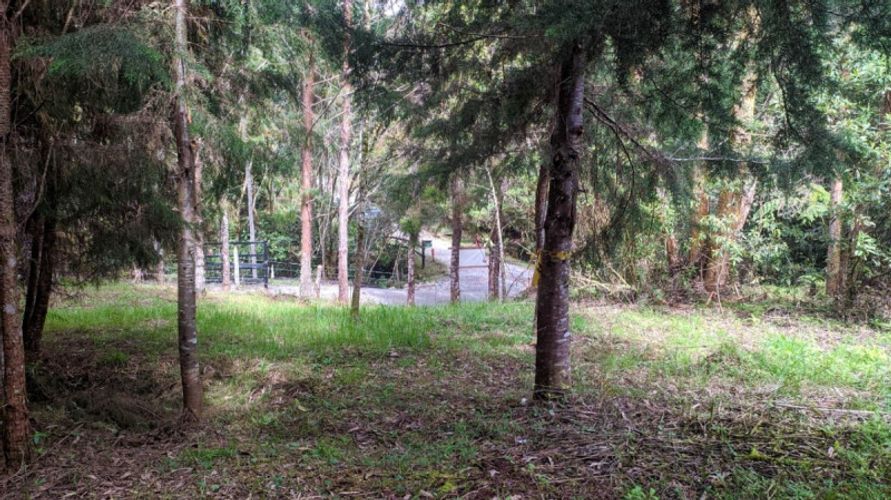 Lote en venta en Pontezuela, Rionegro · foto 7 de 11