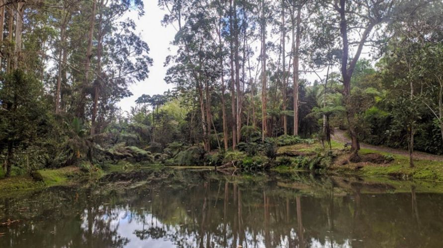 Lote en venta en Pontezuela, Rionegro · foto 8 de 11