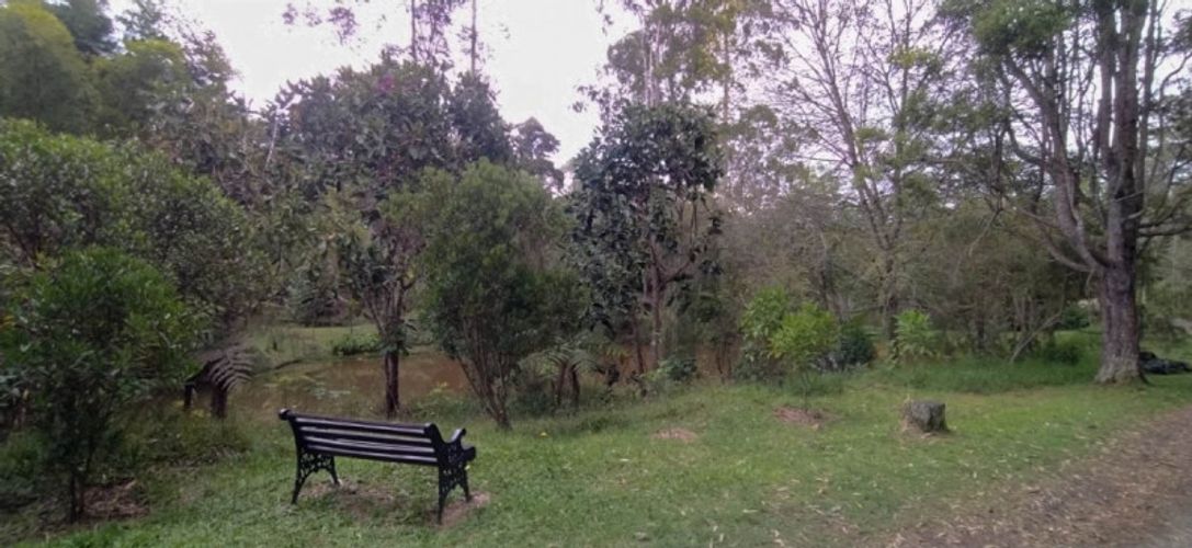 Lote en venta en Pontezuela, Rionegro · foto 9 de 11