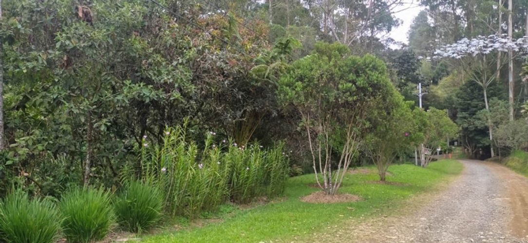 Lote en venta en Pontezuela, Rionegro · foto 10 de 11