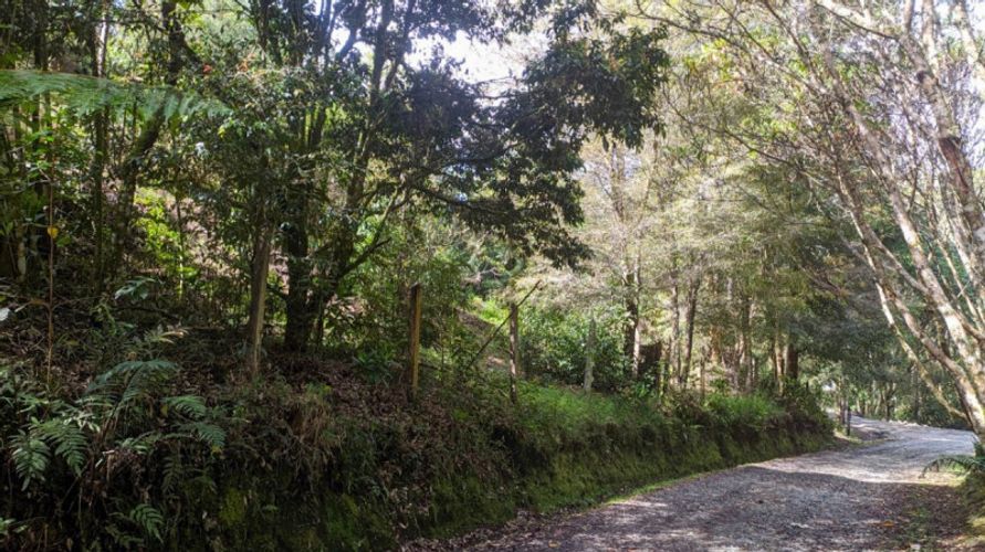 Lote en venta en Pontezuela, Rionegro · foto 11 de 11