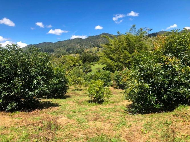 Lote en venta en Llano Grande, Rionegro · foto 2 de 12