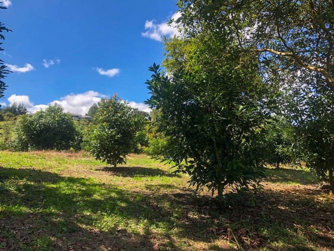 Lote en venta en Llano Grande, Rionegro · foto 3 de 12