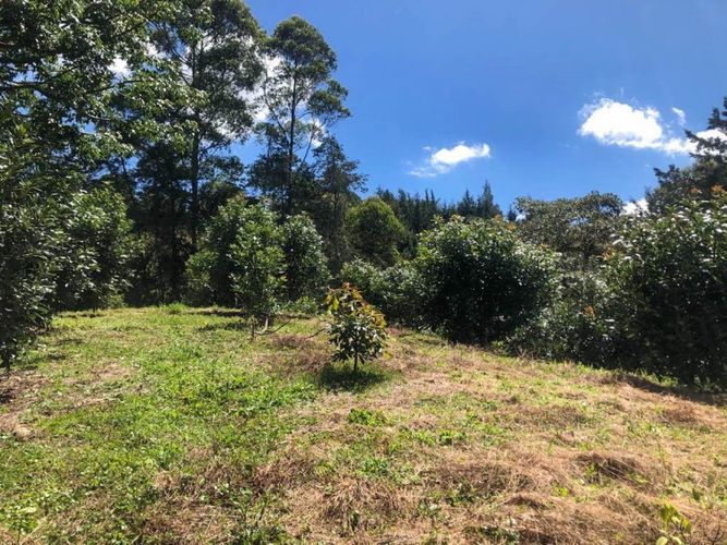 Lote en venta en Llano Grande, Rionegro · foto 4 de 12
