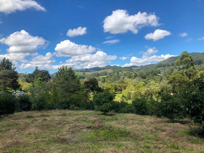 Lote en venta en Llano Grande, Rionegro · foto 5 de 12